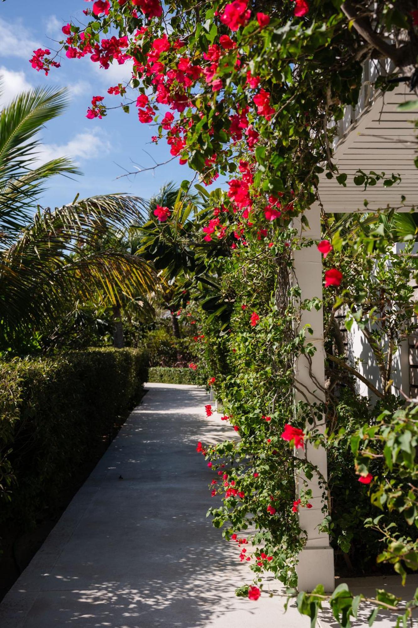 Hotel The Meridian Club, Turks And Caicos Pine Cay Zewnętrze zdjęcie